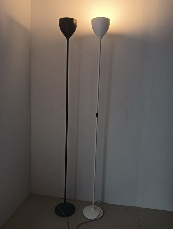 Image 1 of Rotaliana drink f1 floor lamps