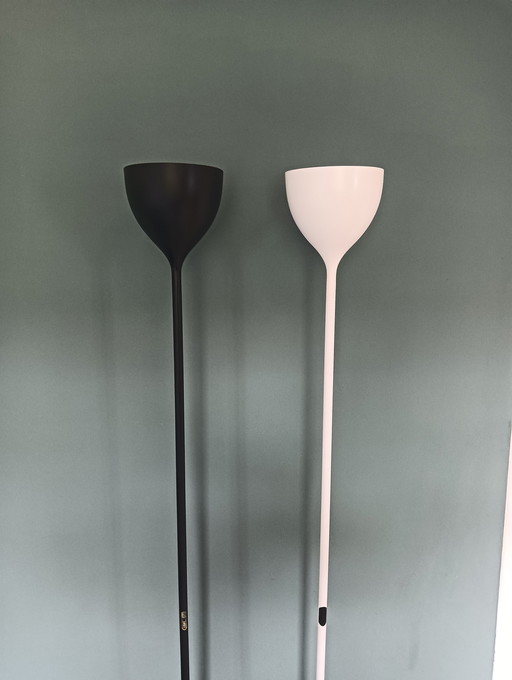 Rotaliana drink f1 floor lamps