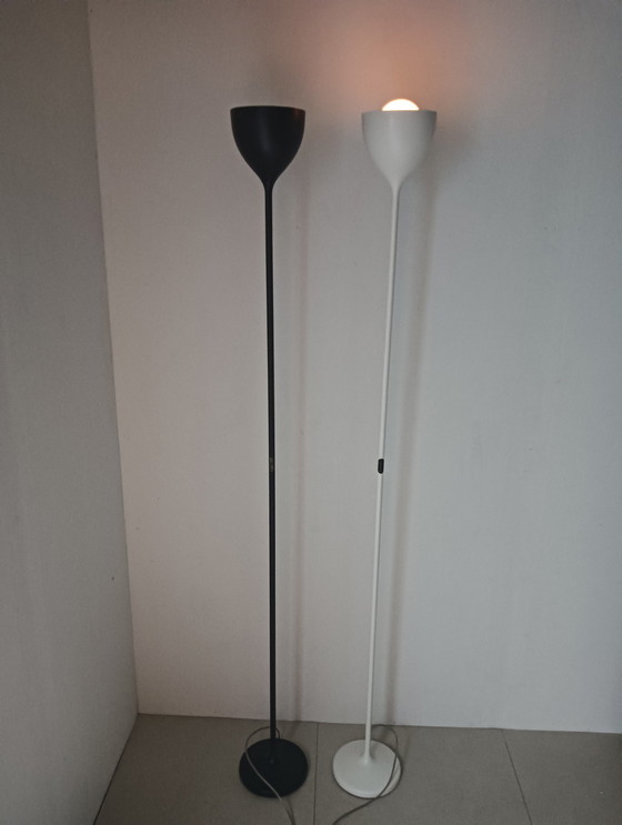 Image 1 of Rotaliana drink f1 floor lamps