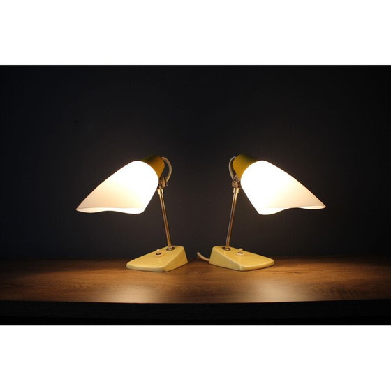 Image 1 of Coppia di lampade vintage in porcellana, metallo e vetro di Kamenický Šenov, Cecoslovacchia 1960