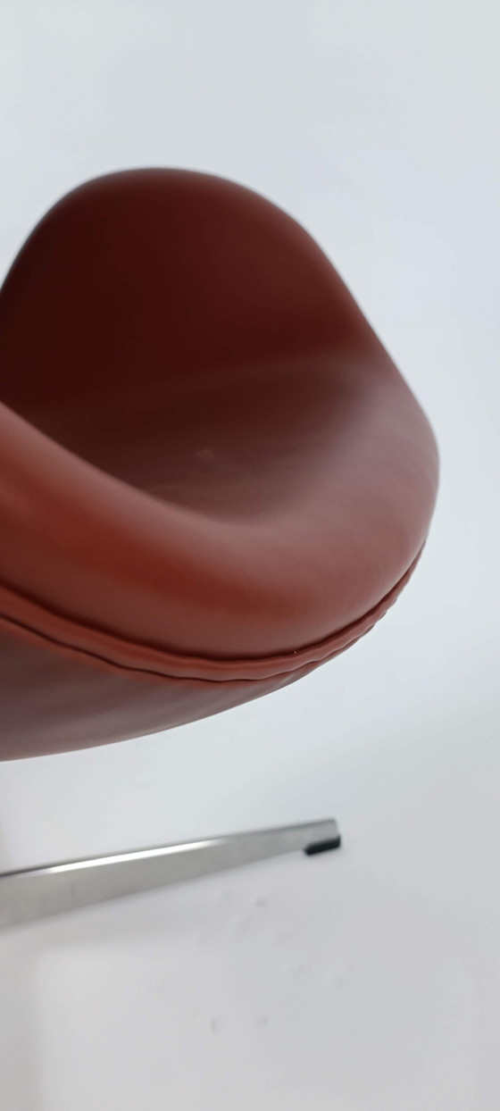 Image 1 of Fritz Hansen Swan Chair Walnut Leather Arne Jacobsen