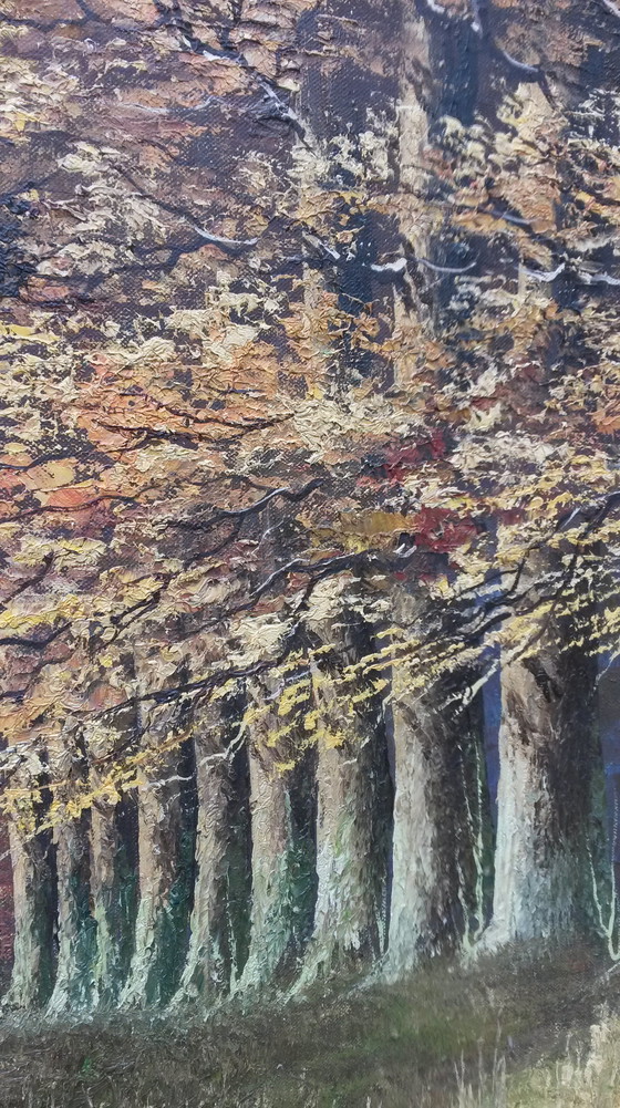 Image 1 of Oil painting with a row of trees on the water signed Verkerk