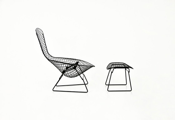 Image 1 of Bird Chair With Ottoman By Harry Bertoia For Knoll, 1960S