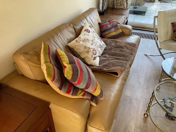 Image 1 of Dark Yellow Minotti Sofa