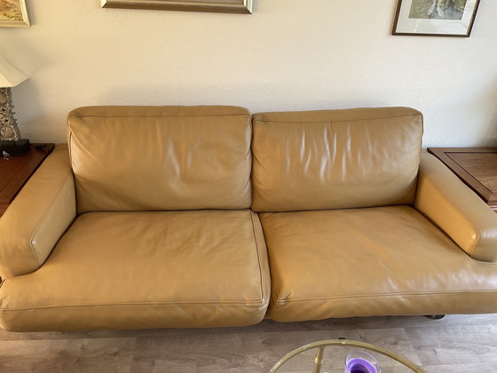 Image 1 of Dark Yellow Minotti Sofa