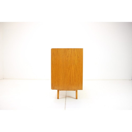 Image 1 of Vintage oak and plastic chest of drawers by Jiří Jiroutek, Czechoslovakia 1960