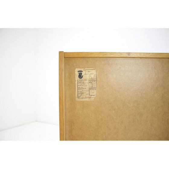 Image 1 of Vintage oak and plastic chest of drawers by Jiří Jiroutek, Czechoslovakia 1960