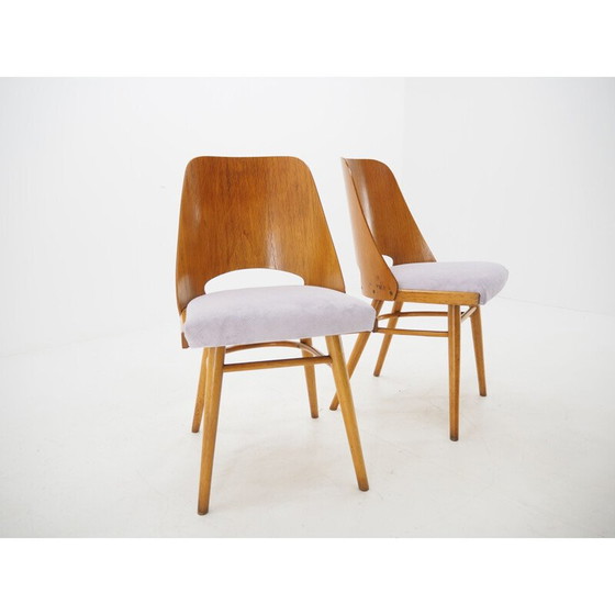 Image 1 of Pair of vintage Dining Chairs, Ton, Designed by Oswald Haerdtl, 1950s
