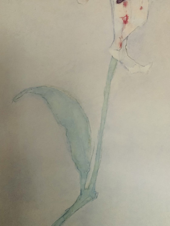 Image 1 of Piet Mondrian, Authorized Offset Colour Lithograph, Signed In The Plate, High Quality, "Lilie Na 1921",Piet Mondian. Condition