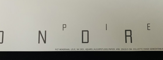 Image 1 of Piet Mondrian, Authorized Offset Colour Lithograph, Signed In The Plate, High Quality, "Lilie Na 1921",Piet Mondian. Condition