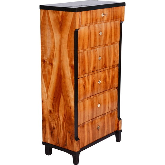 Image 1 of Cassettiera d'epoca in ciliegio, Austria 1810