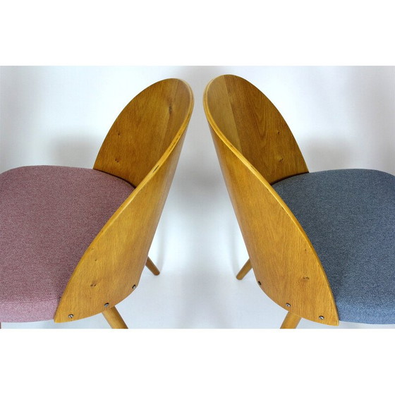 Image 1 of Set of 4 vintage beech wood dining room chairs by Antonin Suman, 1960