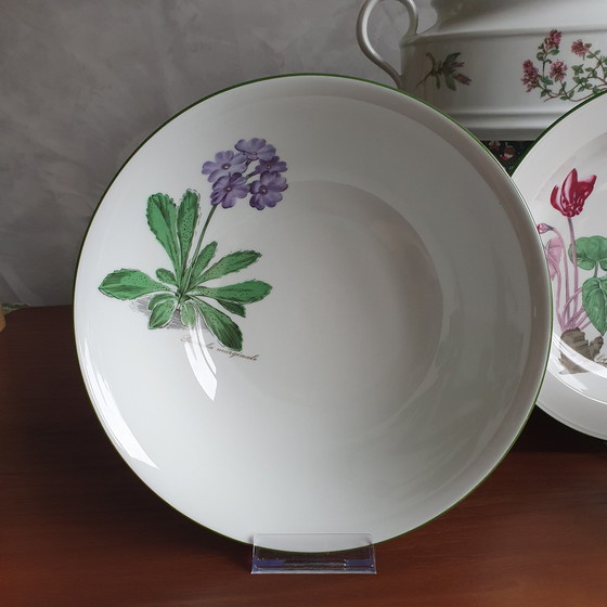 Image 1 of Dinnerware From Seltman Meadows Renate Flowers With Latin Designation