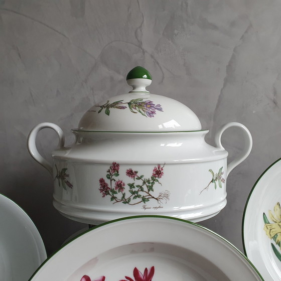 Image 1 of Dinnerware From Seltman Meadows Renate Flowers With Latin Designation