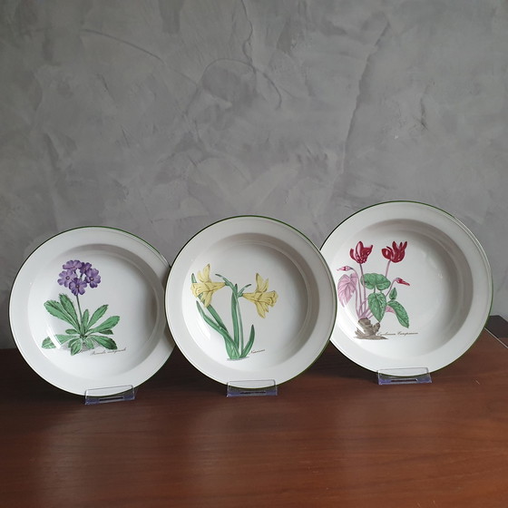 Image 1 of Dinnerware From Seltman Meadows Renate Flowers With Latin Designation