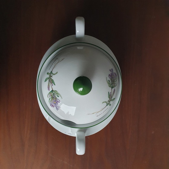 Image 1 of Dinnerware From Seltman Meadows Renate Flowers With Latin Designation