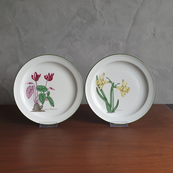 Image 1 of Dinnerware From Seltman Meadows Renate Flowers With Latin Designation