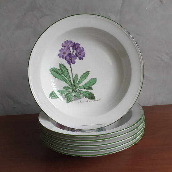 Image 1 of Dinnerware From Seltman Meadows Renate Flowers With Latin Designation