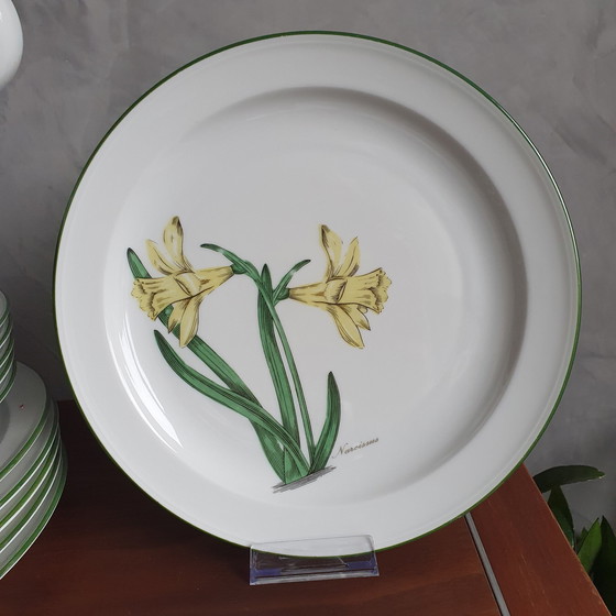 Image 1 of Dinnerware From Seltman Meadows Renate Flowers With Latin Designation