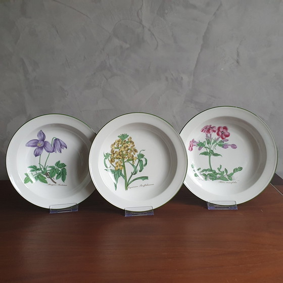 Image 1 of Dinnerware From Seltman Meadows Renate Flowers With Latin Designation