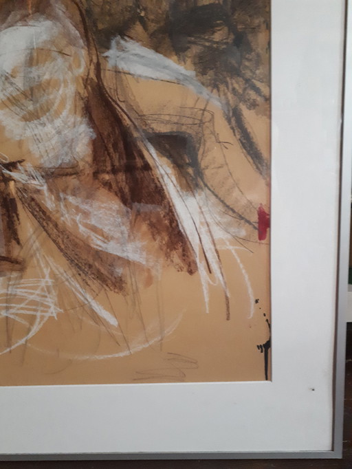 José de Boer de 't Rood - cuerpo