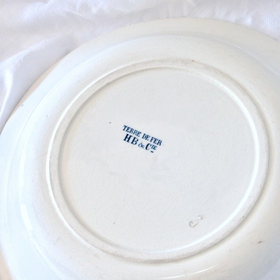 Image 1 of Piatto fondo/insalatiera del XIX secolo, in ferro e terra, uccelli, Choisy-Le-Roi