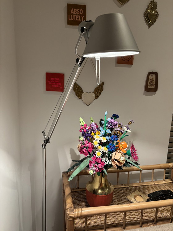 Image 1 of Artemide Tolomeo floor lamp