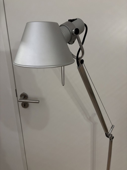 Artemide Tolomeo floor lamp