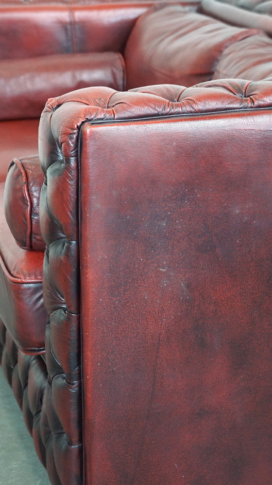 Image 1 of Red cowhide leather chesterfield 2 seater sofa