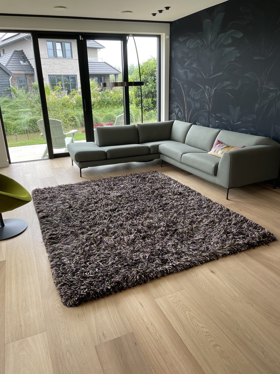 Image 1 of Tapis de Millenerpoort