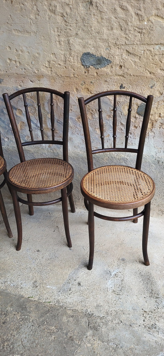 Image 1 of 4 Fischel Bentwood Bistro Chairs 1920/30