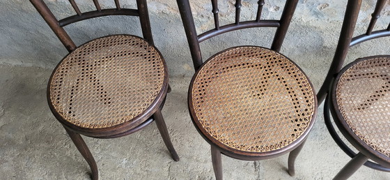 Image 1 of 4 Fischel Bentwood Bistro Chairs 1920/30