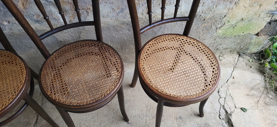 Image 1 of 4 Fischel Bentwood Bistro Chairs 1920/30