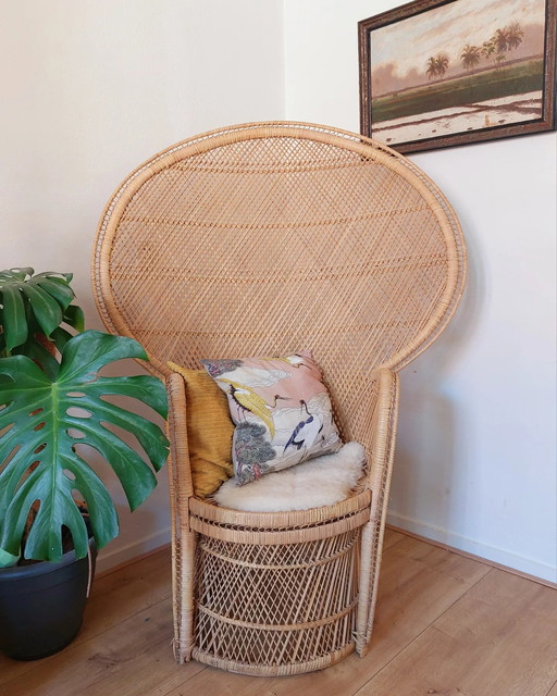 Emmanuelle peacock chair