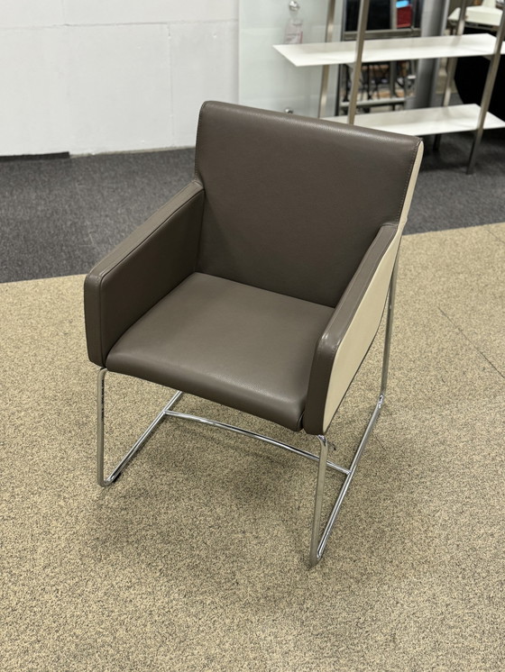 Image 1 of New Leolux Spring Butterfly Dining chairs leather