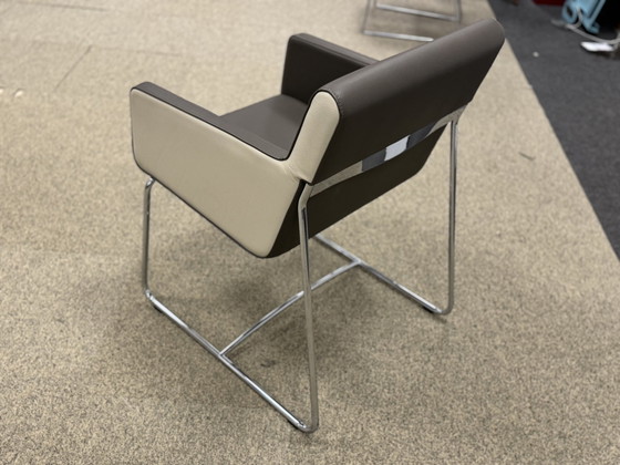 Image 1 of New Leolux Spring Butterfly Dining chairs leather