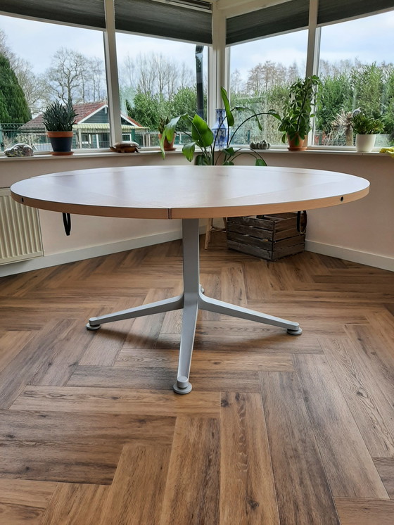 Image 1 of Zanotta Radicequadra dining table