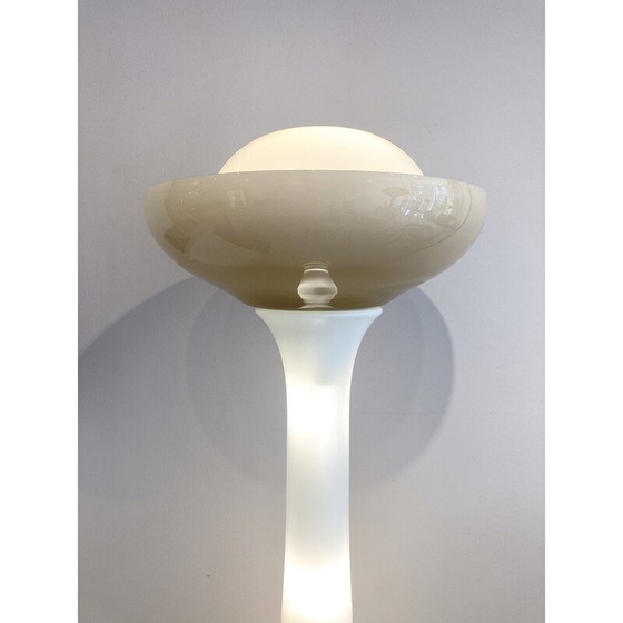 Image 1 of Vintage floor lamp by Carlo Nason for Selenova, Italy 1960