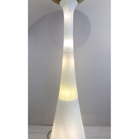 Image 1 of Vintage floor lamp by Carlo Nason for Selenova, Italy 1960