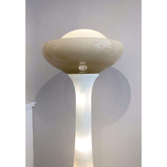 Image 1 of Vintage floor lamp by Carlo Nason for Selenova, Italy 1960