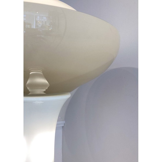 Image 1 of Vintage floor lamp by Carlo Nason for Selenova, Italy 1960