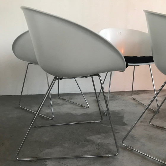 Image 1 of 4x Pedrali chairs by Marco Pocci & Claudio Dondoli