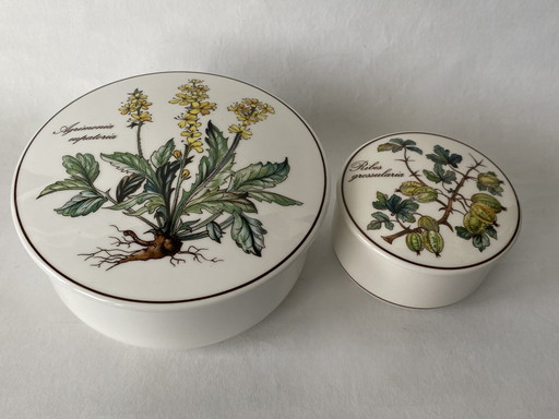 Villeroy & Boch Botanica Lids Boxes