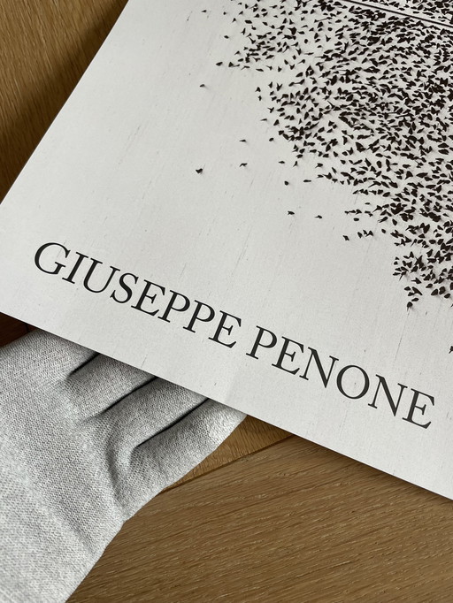 Giuseppe Penone, Contatto—Occhio Destro Di R. . . (2009), Orginal Exibition Poster, Printed In The Uk