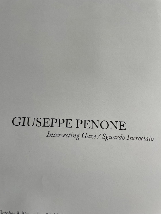 Image 1 of Giuseppe Penone, Contatto—Occhio Destro Di R. . . (2009), Orginal Exibition Poster, Printed In The Uk