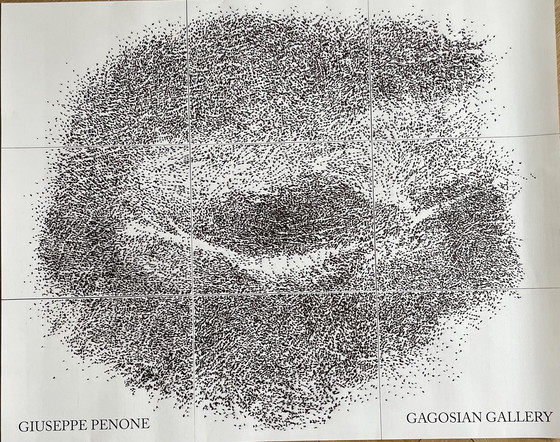 Image 1 of Giuseppe Penone, Contatto—Occhio Destro Di R. . . (2009), Orginal Exibition Poster, Printed In The Uk