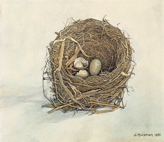 Image 1 of Jopie Huisman--------Blackbird nest