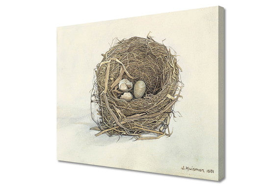 Image 1 of Jopie Huisman--------Blackbird nest