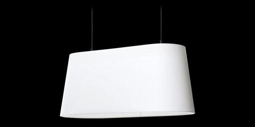 Moooi Oval Light