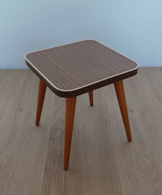 Image 1 of Mesa de plantas de los años cincuenta